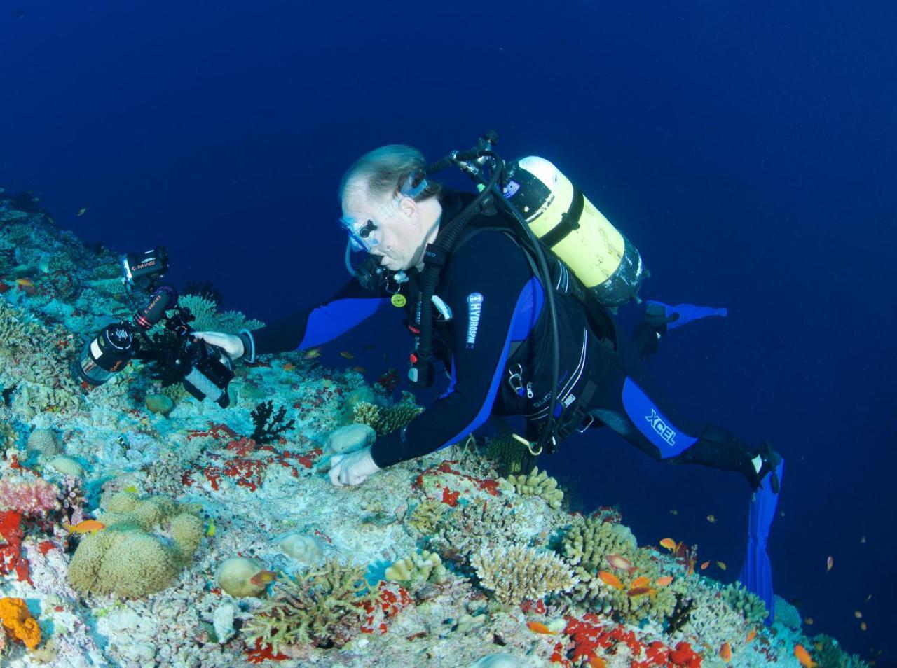 Hotel South Ari Dive Center Dhangethi Exterior foto