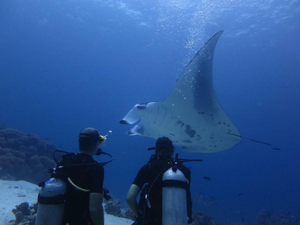 Hotel South Ari Dive Center Dhangethi Exterior foto